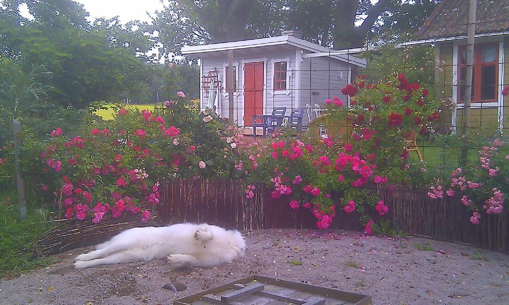 Borakra Bed & Breakfast Karlskrona Exterior photo